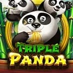 Triple Panda screenshot